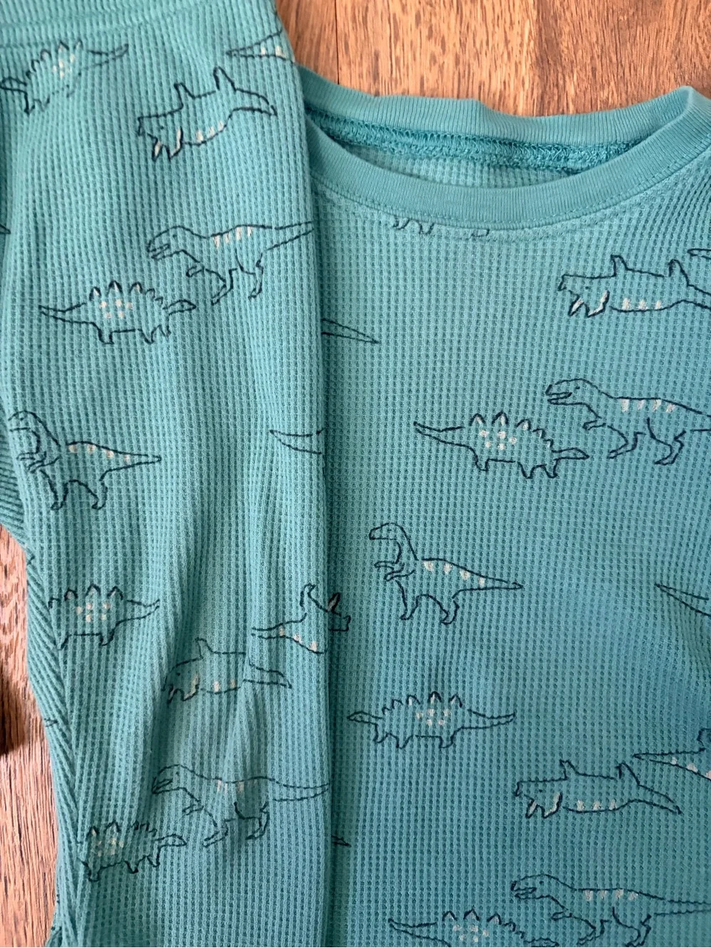 Carter's Blue and Teal Dinosaur Pajama Sets